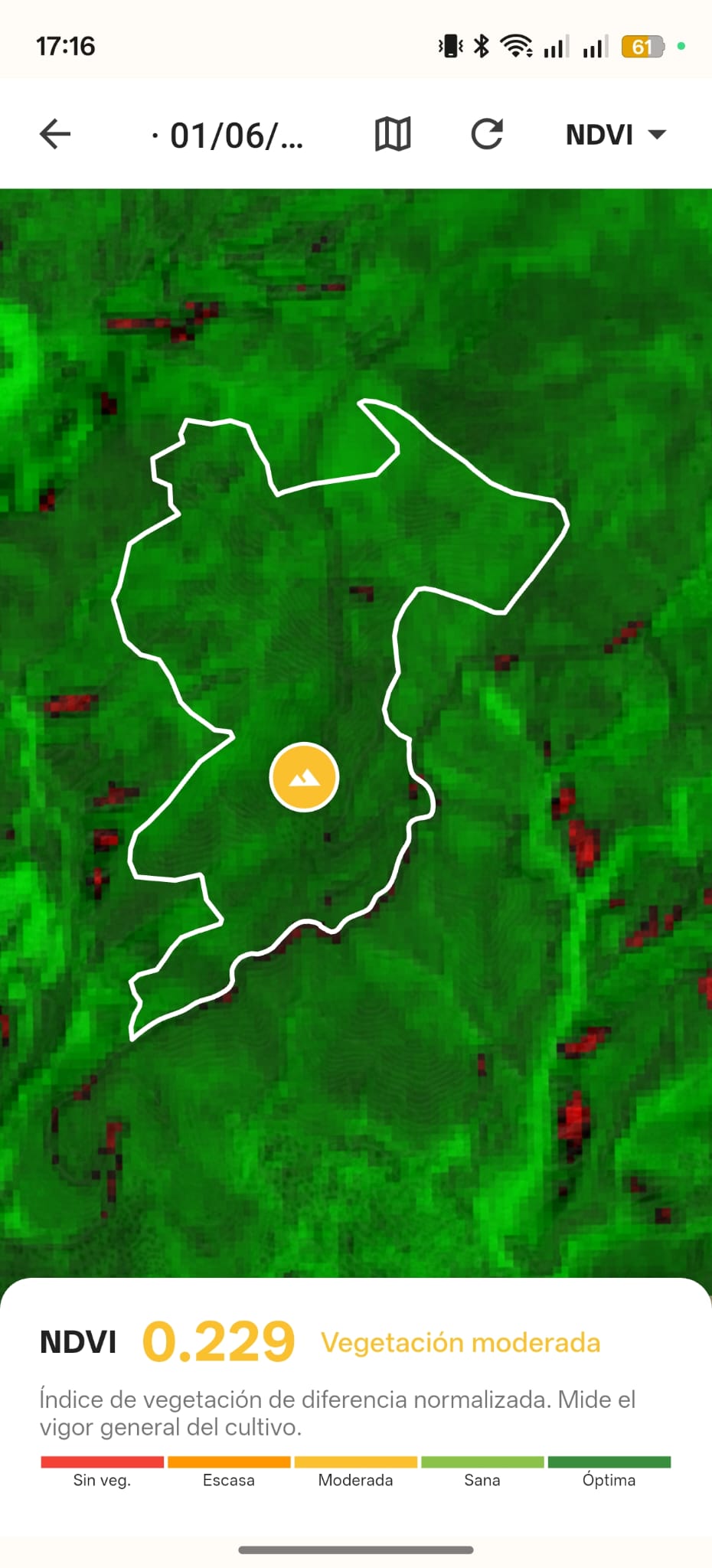 App rpiot — mapa NDVI Sentinel-2 de una parcela agrícola con índice 0.229